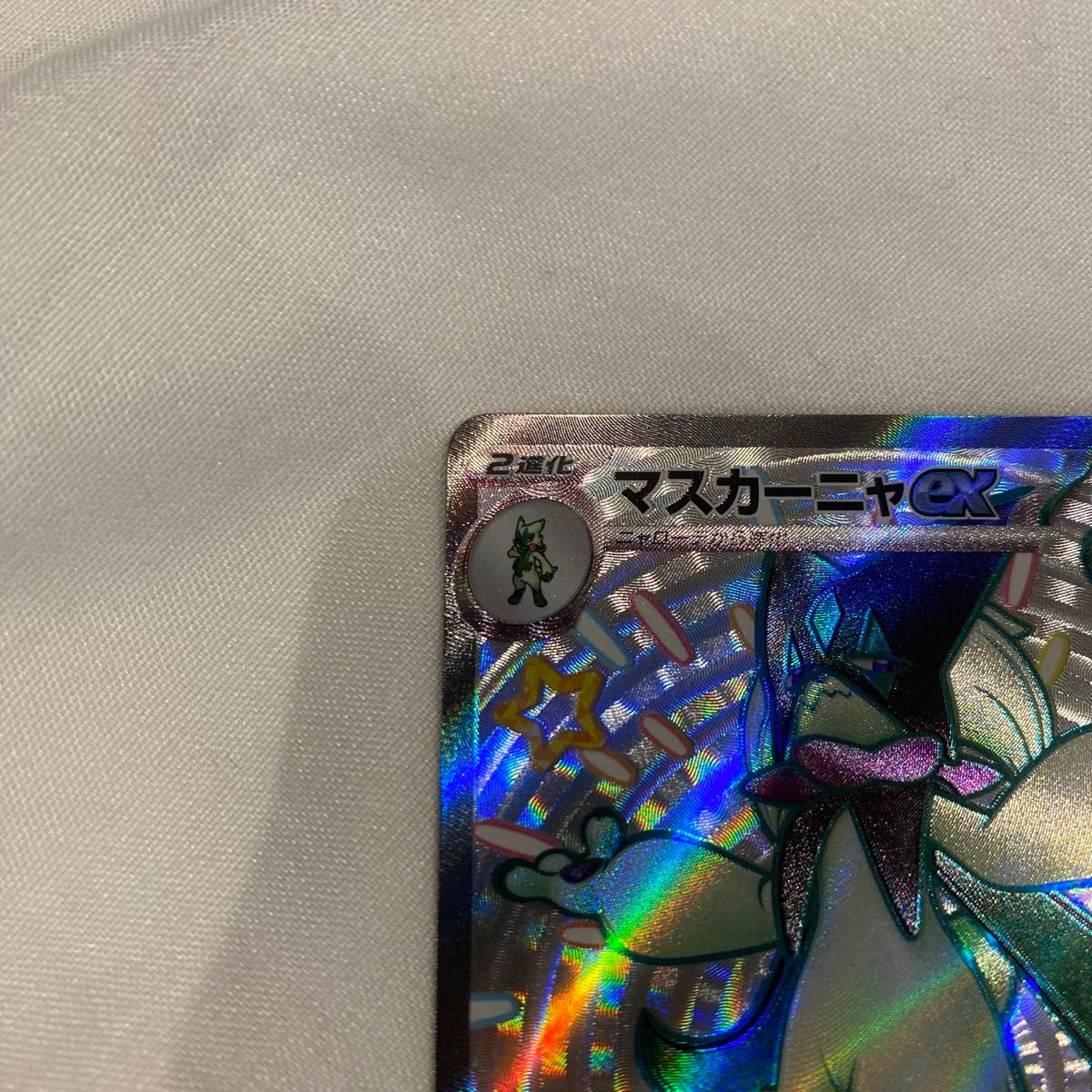 マスカーニャex ssr パック跡 エラー 圧着跡 シャイニー マスカーニャex ssr パック跡 エラー 圧着跡 シャイニー