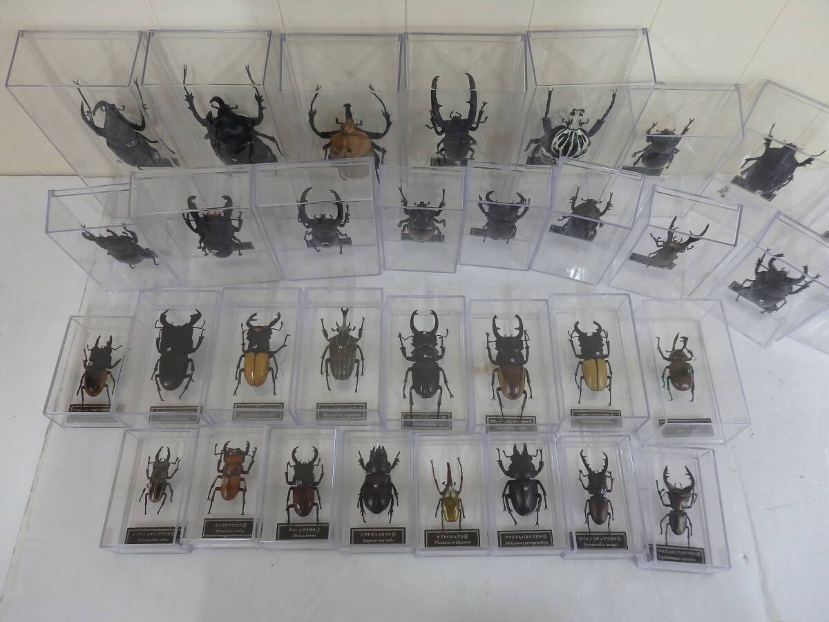 世界の昆虫　データブック　DeAGOSTINI　ディアゴスティーニ　計３３匹　カブトムシ　　∞１８_画像4