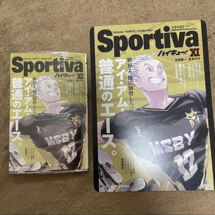 スポルティーバ 即決可能ハイキュー ショーセツバンSportiva コラボ小説付きアニメイト　特典ビジュアルボード木兎光太郎