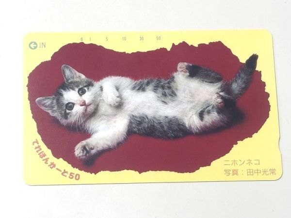 テレカ ニホンネコ 田中光常 動物 日本猫 テレホンカード_画像1