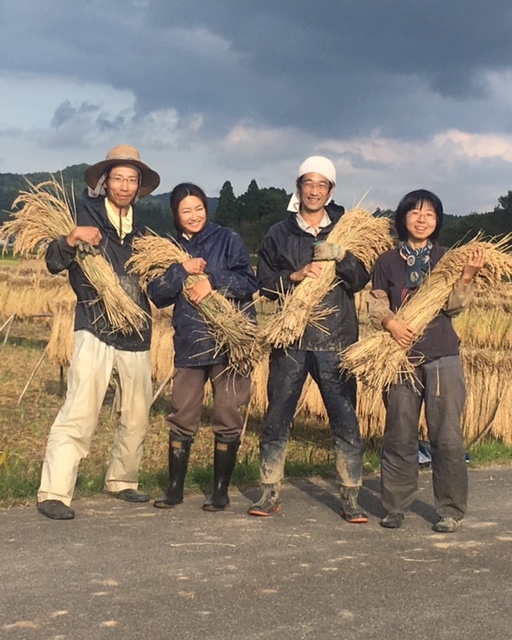 自然栽培 結び米 天日干し ササニシキ(白米4.5kg)★奈良県産★無肥料・無農薬★自家採取★自然のままの味わいとぬくもりをお届けします♪_画像4