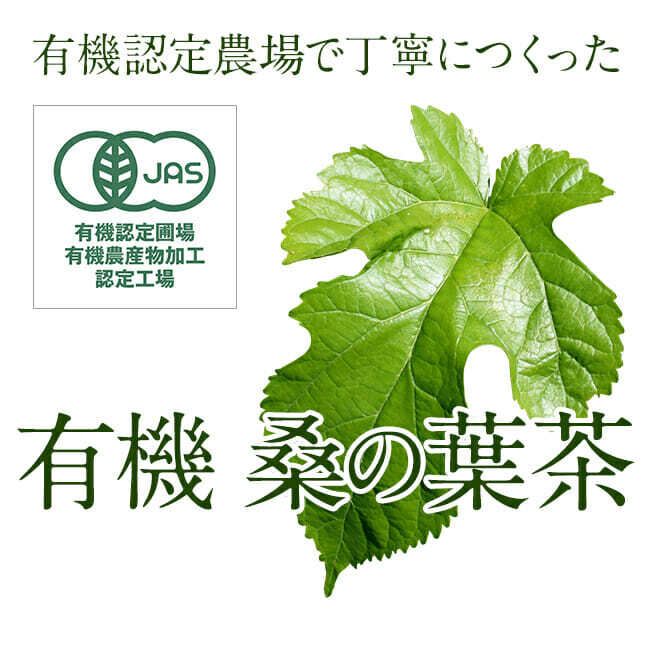 有機 桑茶(2.5g×15包)★島根県産★マルベリーハーブ★無農薬・オーガニック★無添加・無着色★原材料は有機桑葉のみ★ノンカフェイン♪