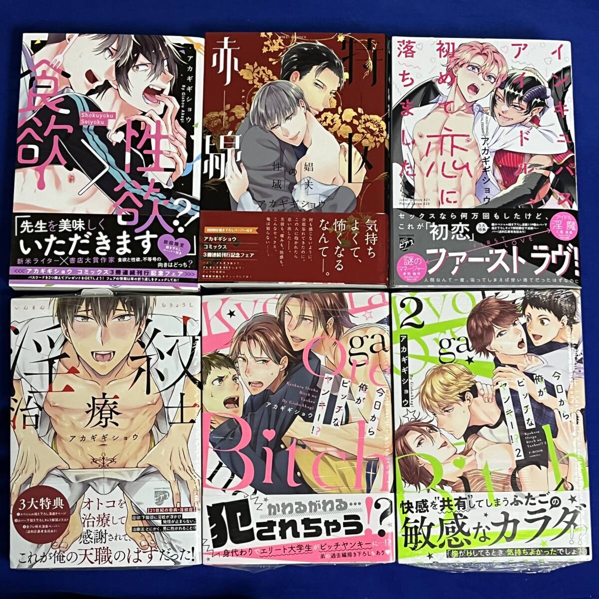 【6冊】アカギギショウ*今日から俺がビッチなヤンキー 1-2巻+淫紋治療士+食欲＞性欲+赤線特区+インキュバスアイドル、初めて恋に落ちました