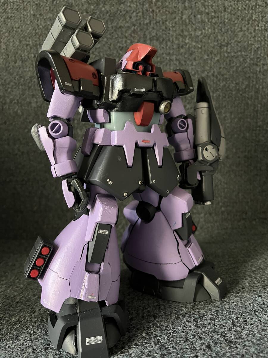 MG 1/100ドムトローペン改　塗装済み完成品_画像1