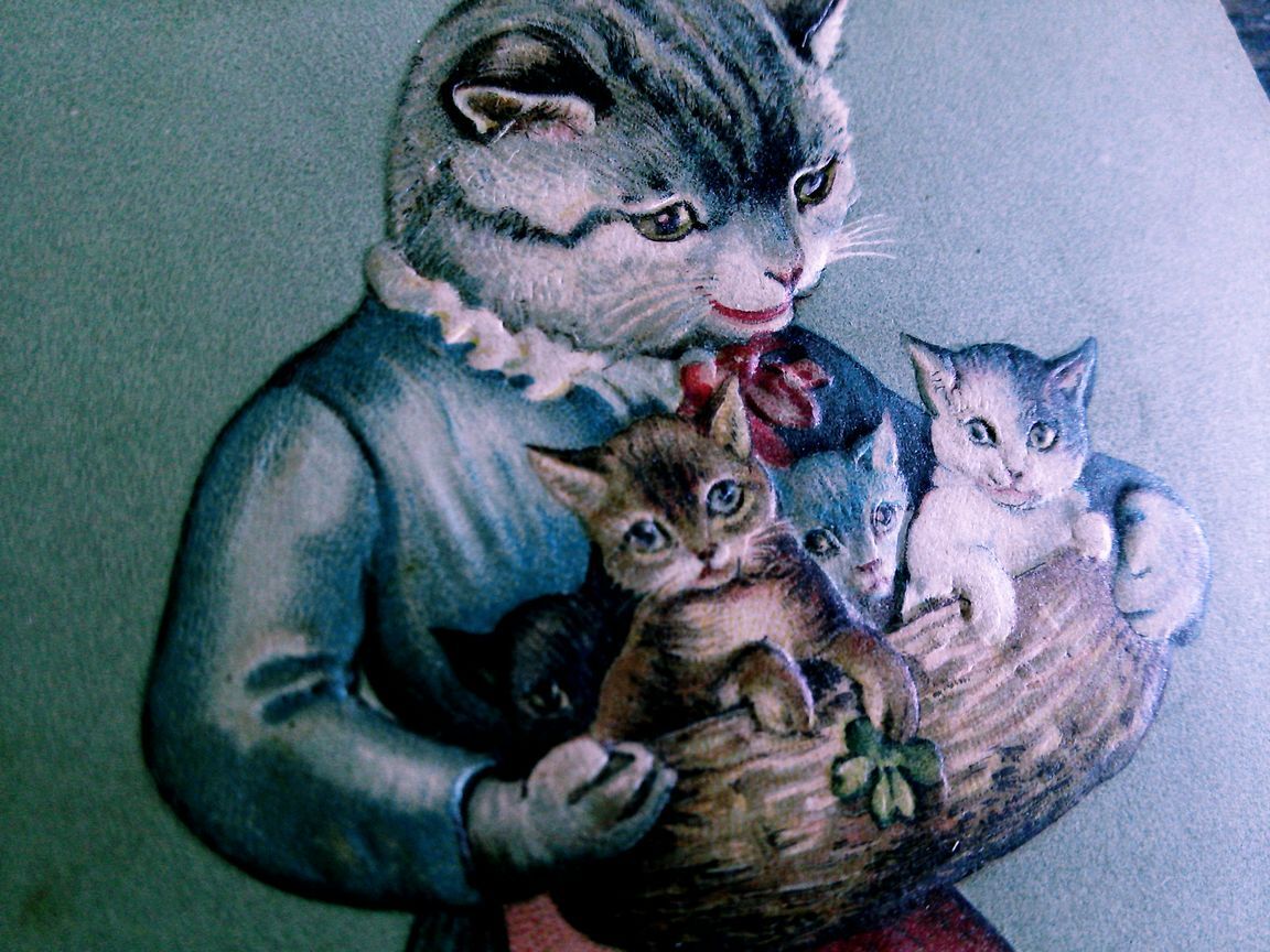 猫(31) W41◆エンボス アンティークポストカード フランス ドイツ ベルギー イタリア イギリス ネコ ねこ 子猫 外国絵葉書 ビンテージ_画像4