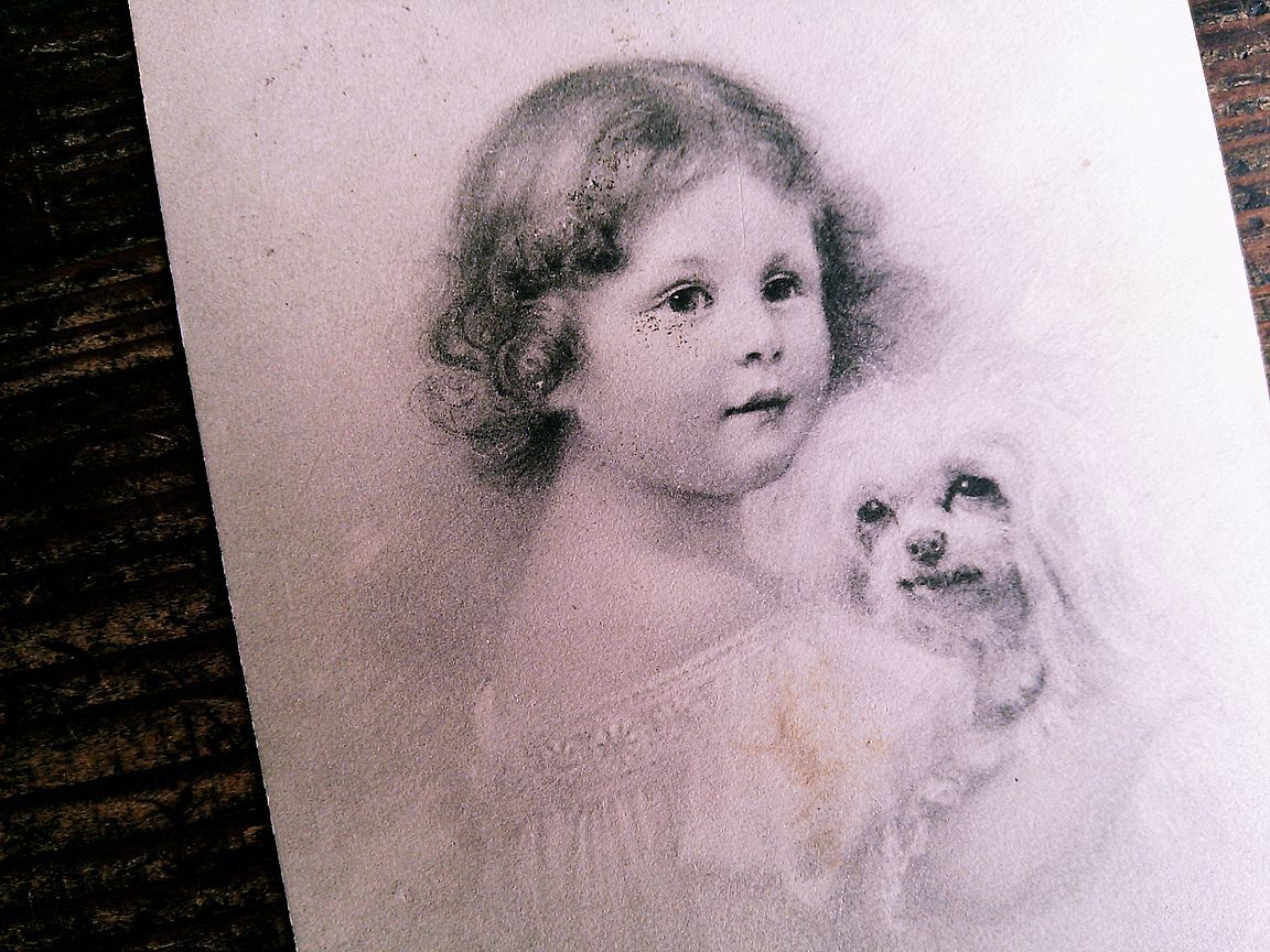 イラスト(4)S81◆M.M.Vienne 少女 子供 犬 アンティークポストカード フランス ドイツ ベルギー オーストリアの画像2