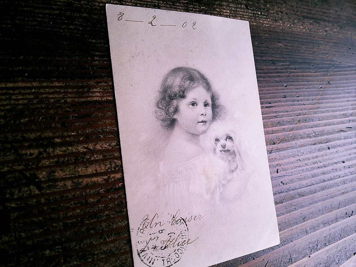 イラスト(4)S81◆M.M.Vienne 少女 子供 犬 アンティークポストカード フランス ドイツ ベルギー オーストリアの画像6