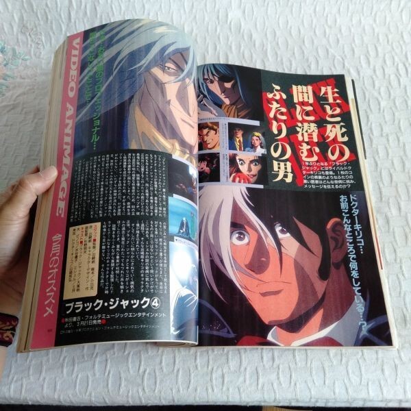 1396 アニメージュ 1995年 4月号 赤ずきんチャチャ セーラームーン 鉄腕GinReiひみつ ストリートファイターⅡ ふろく ポスター付_画像9