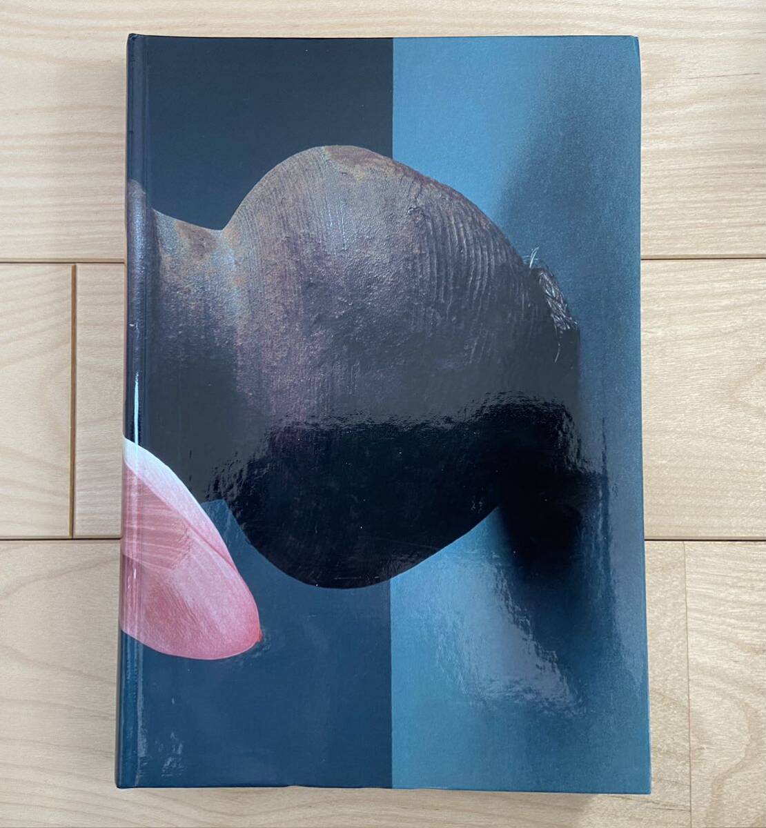 中川幸夫 SOUL FLOWER YUKIO NAKAGAWA 魂の花展 青竹ひらく霧島 中川幸夫 SOUL FLOWER YUKIO NAKAGAWA 魂の花展 青竹ひらく霧島