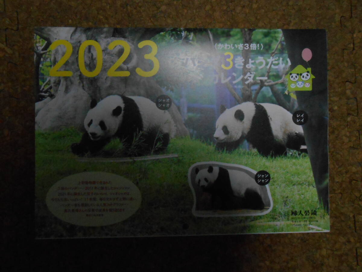 *2023 year * Panda calendar *3 siblings * car o car o* Ray Ray * car n car n* woman . theory extra 