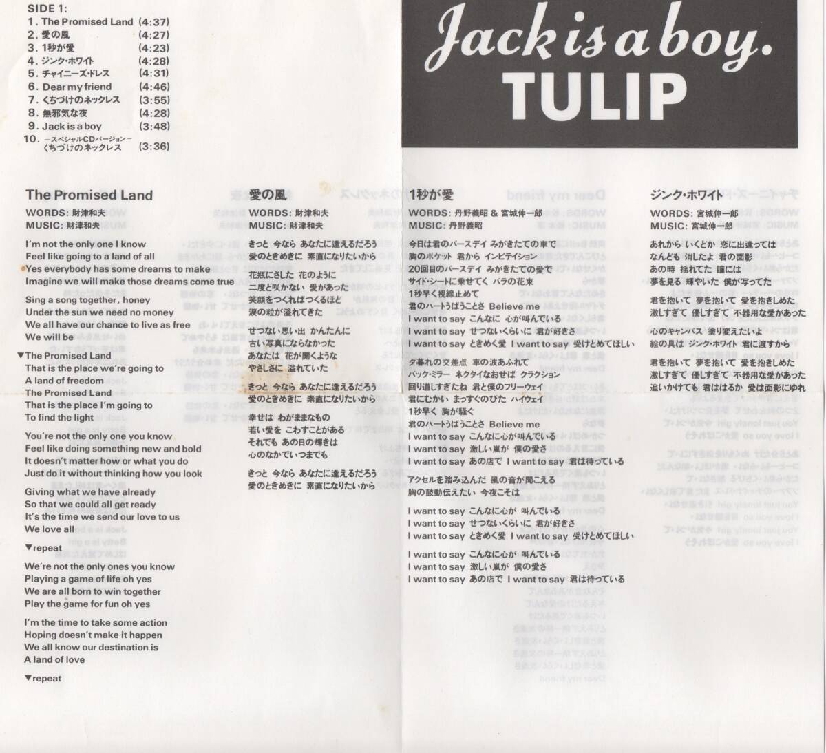 チューリップ JACK IS A BOY TULIP 　32FD-1033 _画像5