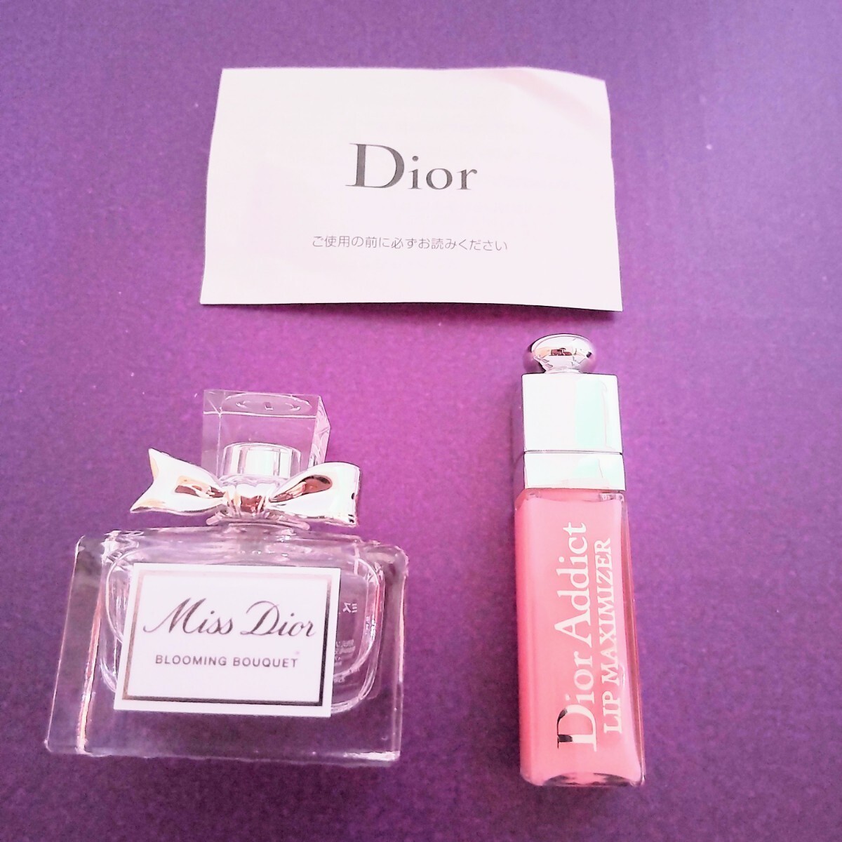  Christian Dior pouch CD Dior make-up pouch perfume lip gloss unused 