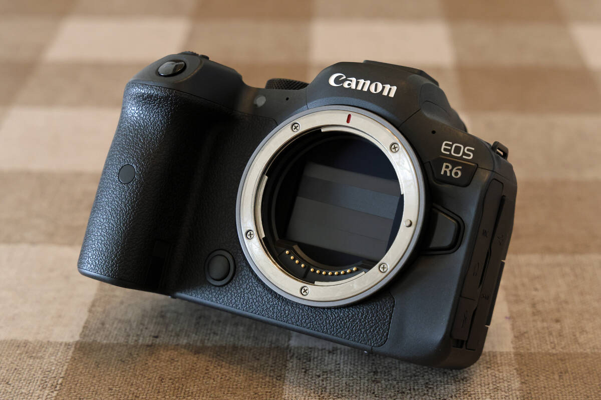 Canon EOS R6 ボディ　実用品_画像3