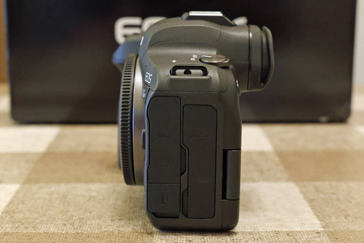Canon EOS R6 ボディ　実用品_画像9