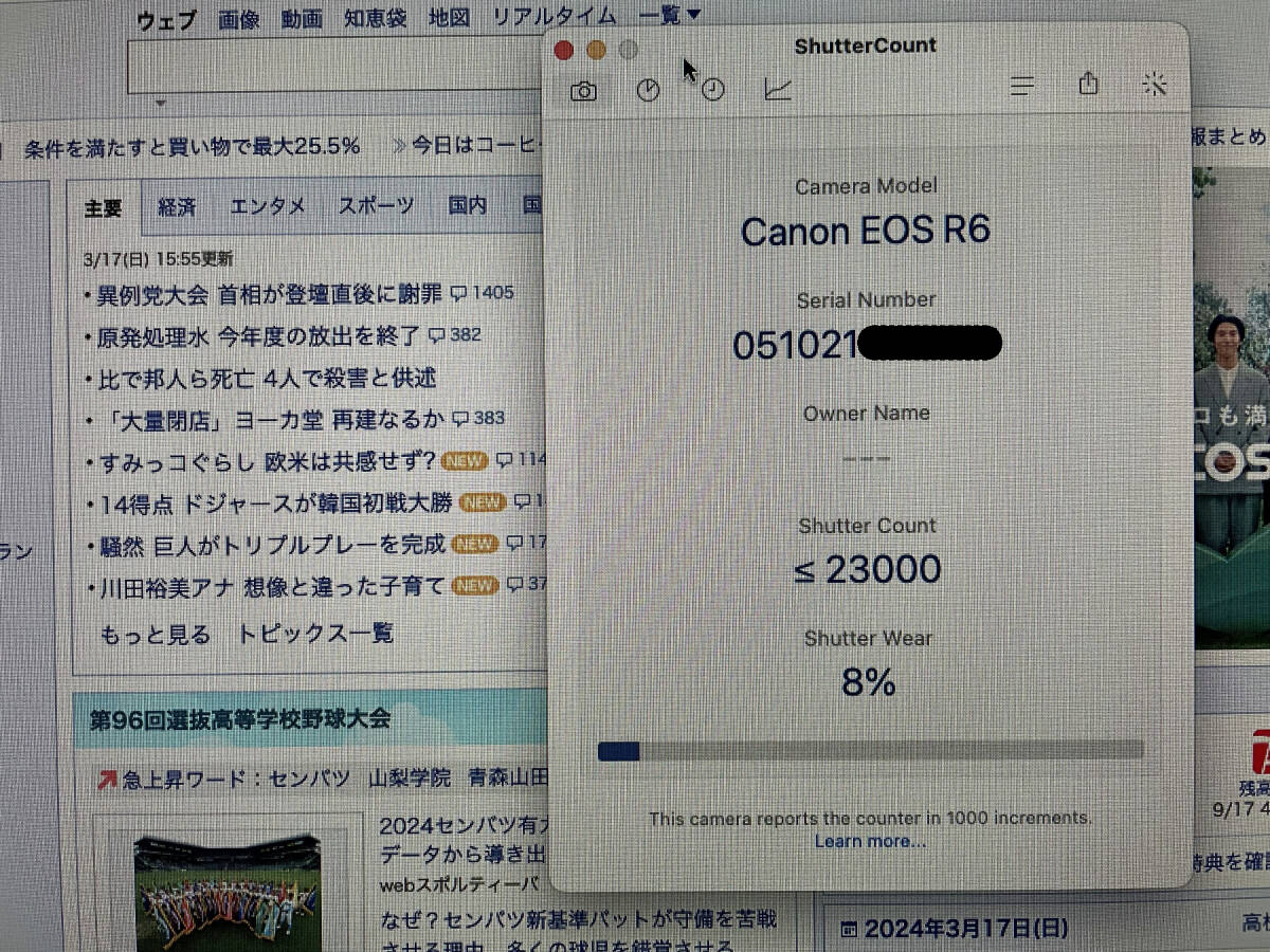 Canon EOS R6 ボディ　実用品_画像10
