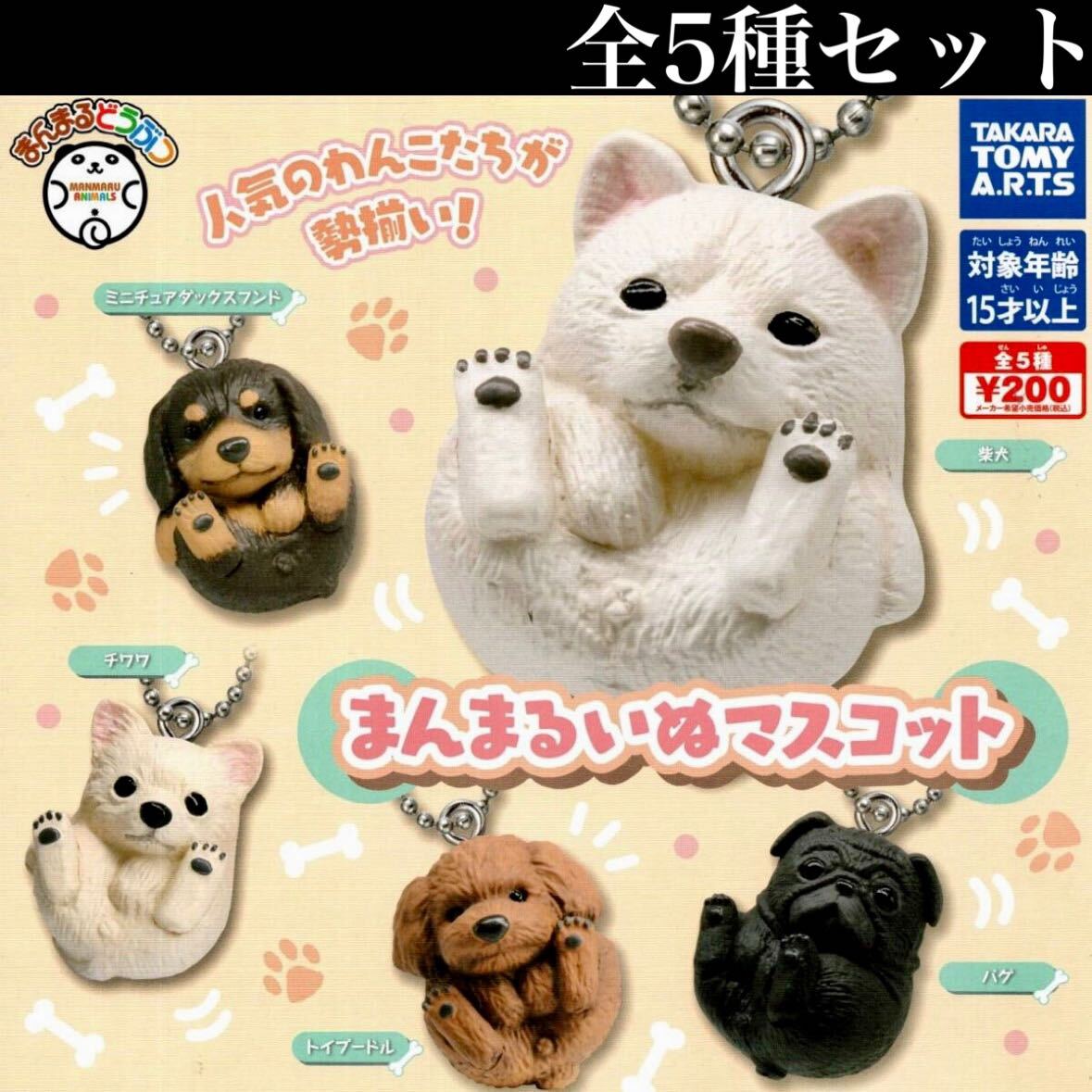 ■送料無料■ まんまるいぬマスコット 全5種セット /犬/イヌ/ミニチュアダックスフンド/柴犬/チワワ/トイプードル/パグ/フィギュア/ガチャ_画像1