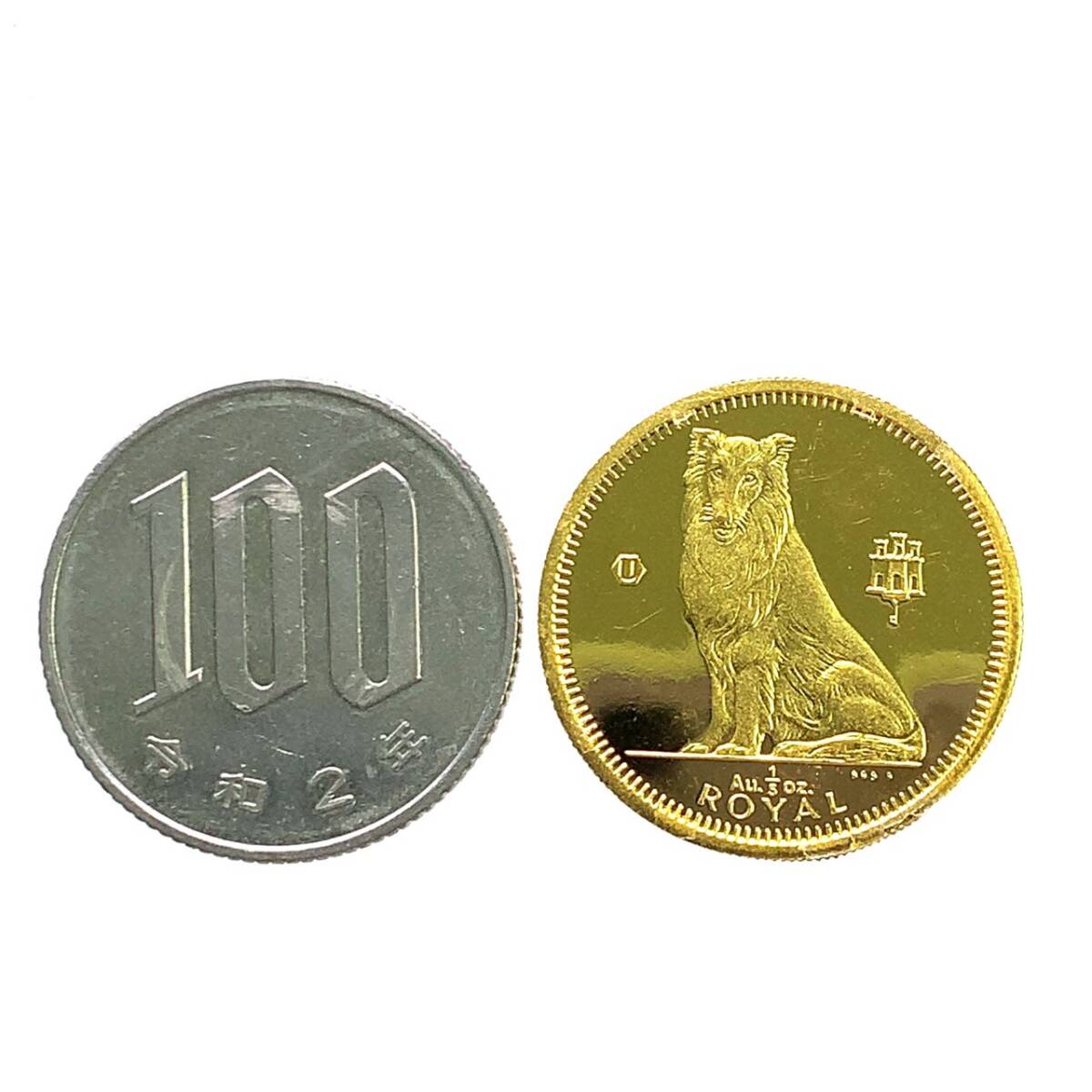 美品 犬金貨 ジブラルタル 1995年 24金 純金 6.2g 1/5オンス コイン イエローゴールド コレクション Gold_画像3