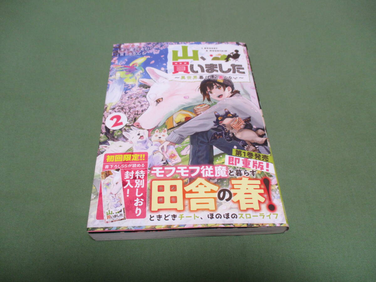 山、買いました　異世界暮らしも悪くない　２ 　実川えむ　帯付き　ＧＡノベル_画像1