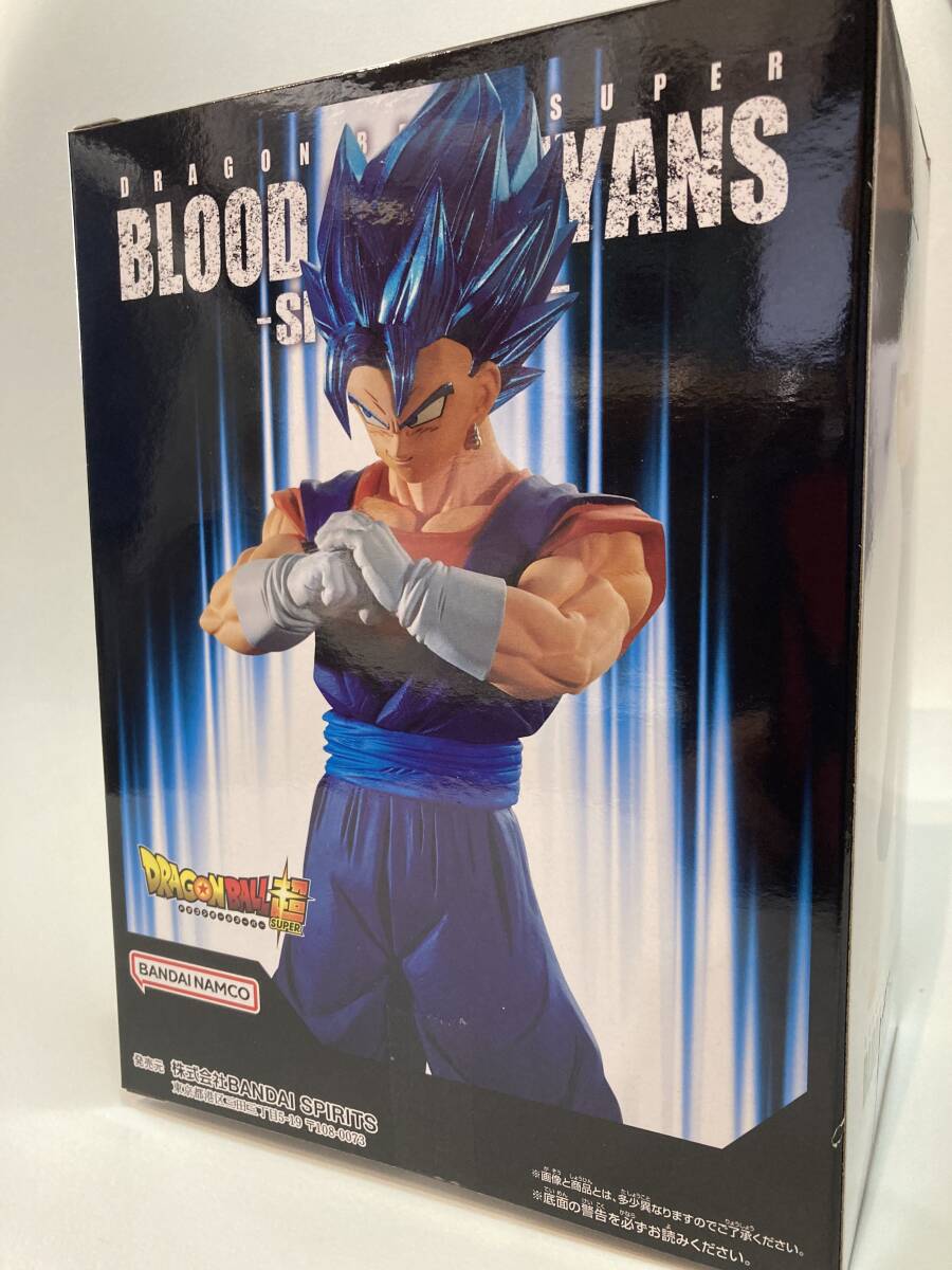 超サイヤ人ゴッド超サイヤ人ベジット ドラゴンボール超 BLOOD OF SAIYANS-SPECIALXIX-_画像1