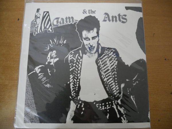 N3-099＜LP/新品未開封＞Adam & The Ants / Madam Stanの画像1