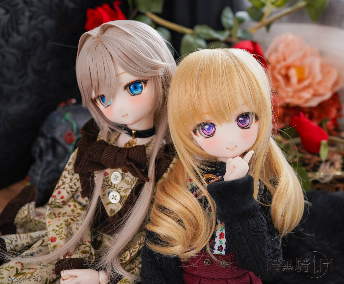 DDH-29 SW肌カスタムヘッド＋アイ一組◇暗黒騎士団◇の画像10