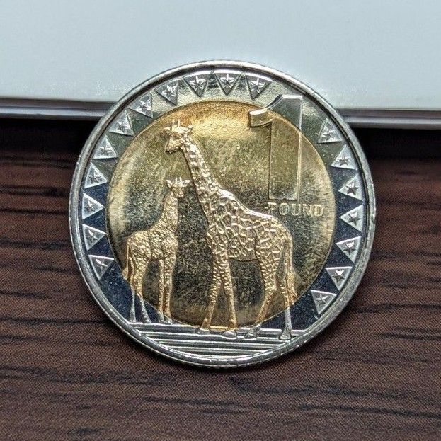 南スーダン キリン アフリカ レア コイン 硬貨 東アフリカ ポンド