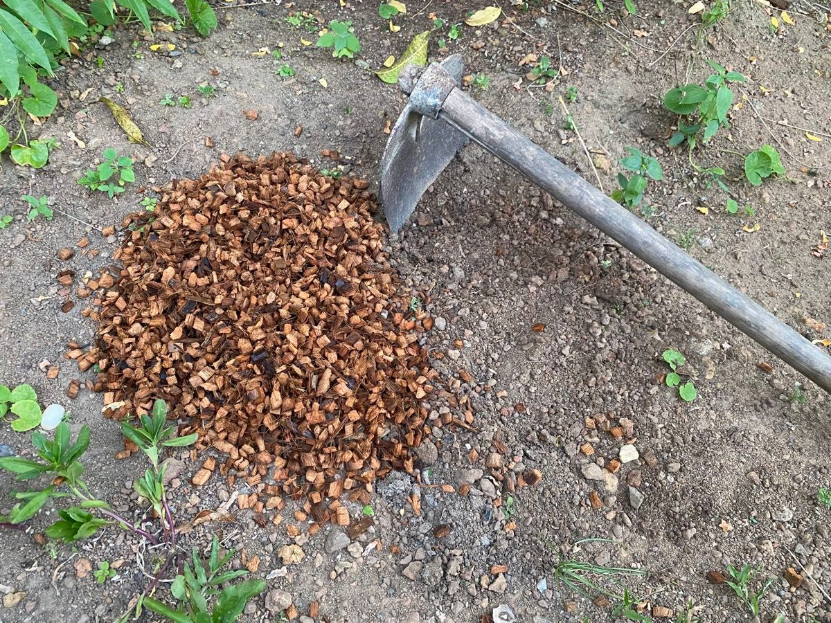 【高品質】200リットル　ハスクチップ ココヤシチップ　ココヤシガラ　土壌改良剤　マルチング材　種まき　苗　花壇　植木　庭　鉢　