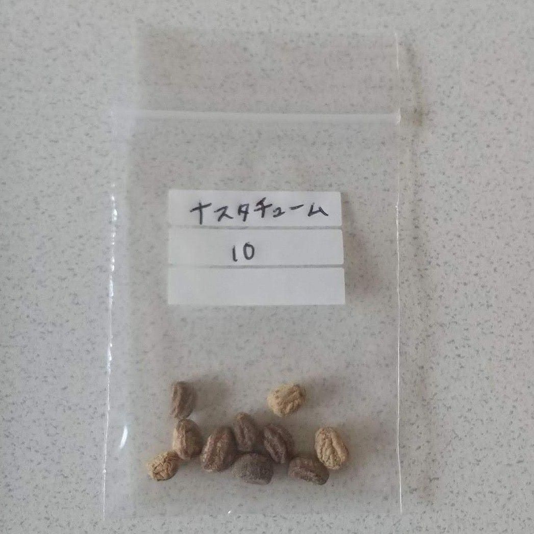 【ナスタチュームのタネ】10粒 種子 種 ナスタチウム 金蓮花 花 ハーブ