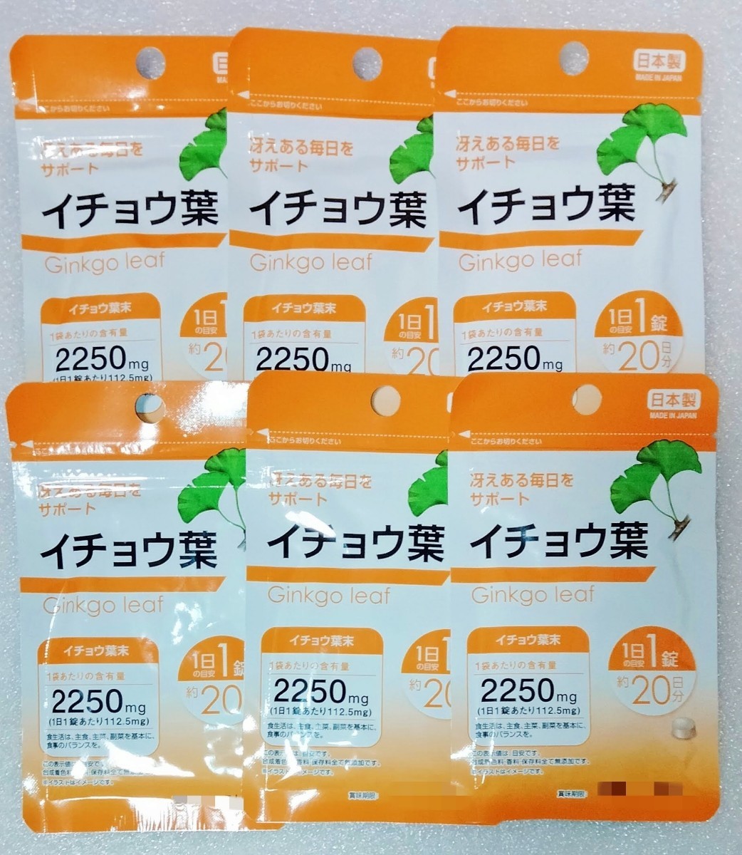 イチョウ葉【合計120日分】6袋 1日1錠 冴えある毎日をサポート 栄養機能食品 日本製 サプリメン_画像1