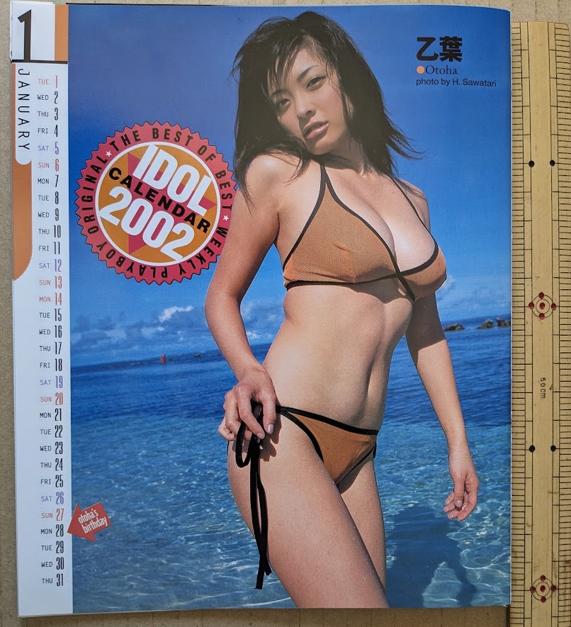  идол календарь 2002 Otoba Koike Eiko Yoshioka Miho Manabe Kawori Nakane Kasumi Hirosue Ryouko Kawamura Hikaru др. еженедельный Play Boy 2002.1.1 No.1 дополнение 