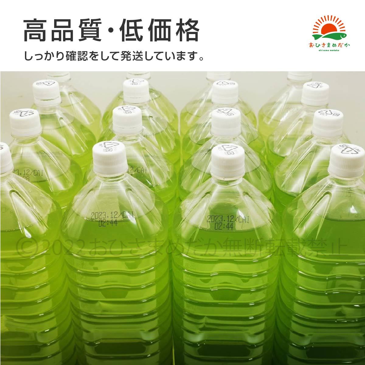 初心者からプロ【青水　グリーンウォーター　1500ml】メダカ　めだか卵　金魚　熱帯魚　ミジンコ　ゾウリムシ　ミドリムシ　PSB　どうぞ_画像3