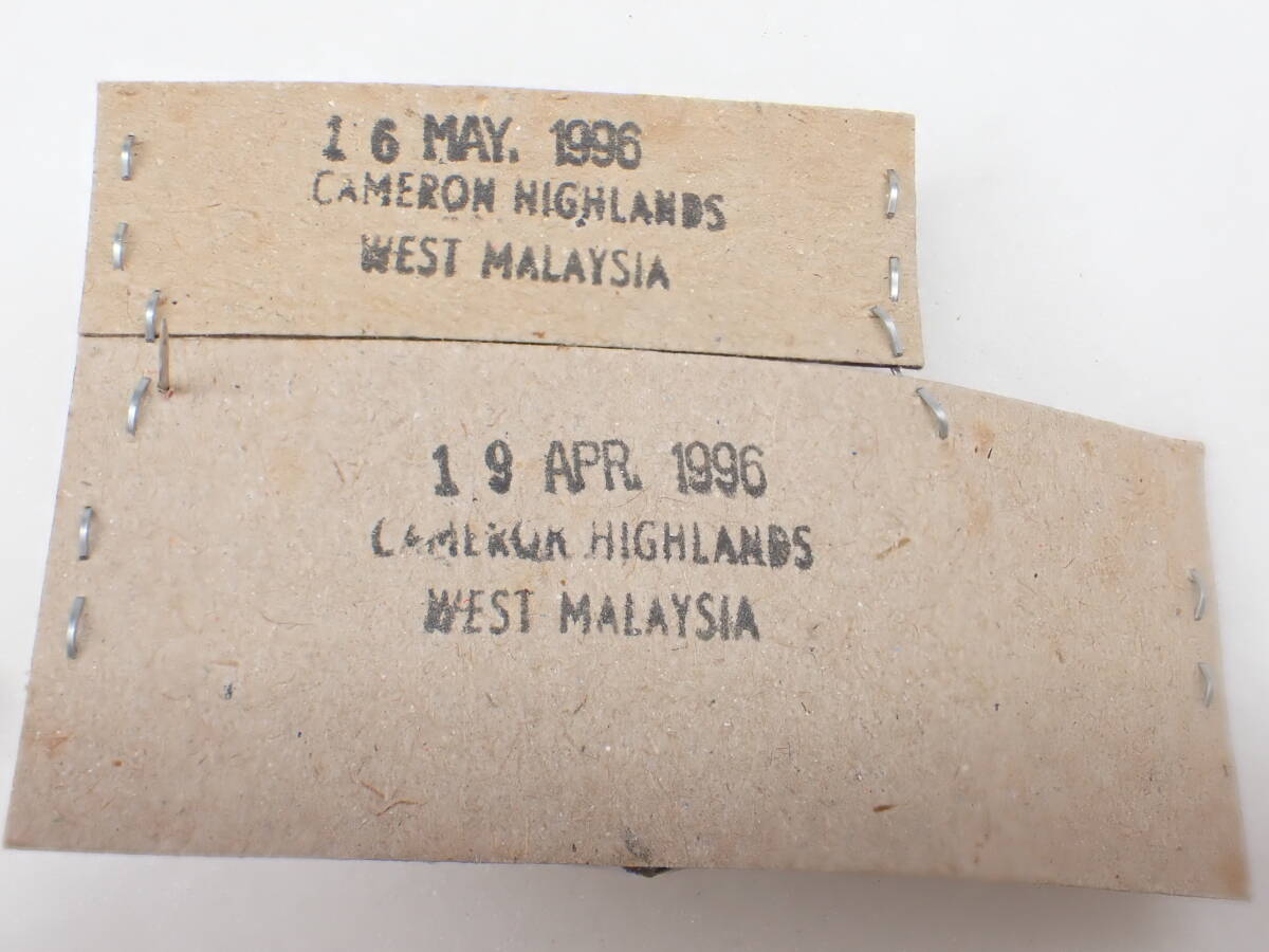 Odontolabis gazella ♂62mm♀/Malaysia,Pahang Prov._画像2