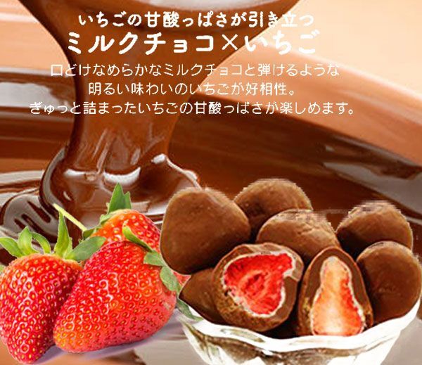 送料300円(税込) ■fm410■◎贅沢まるごといちごのミルクチョコレート　1000g【シンオク】_画像2