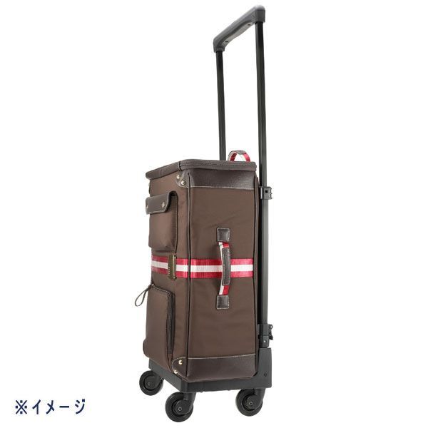 送料300円(税込)■tg002■スワニー バニティー トラベルキャリー 4輪ストッパー レインカバー付 34430円相当【シンオク】_画像2