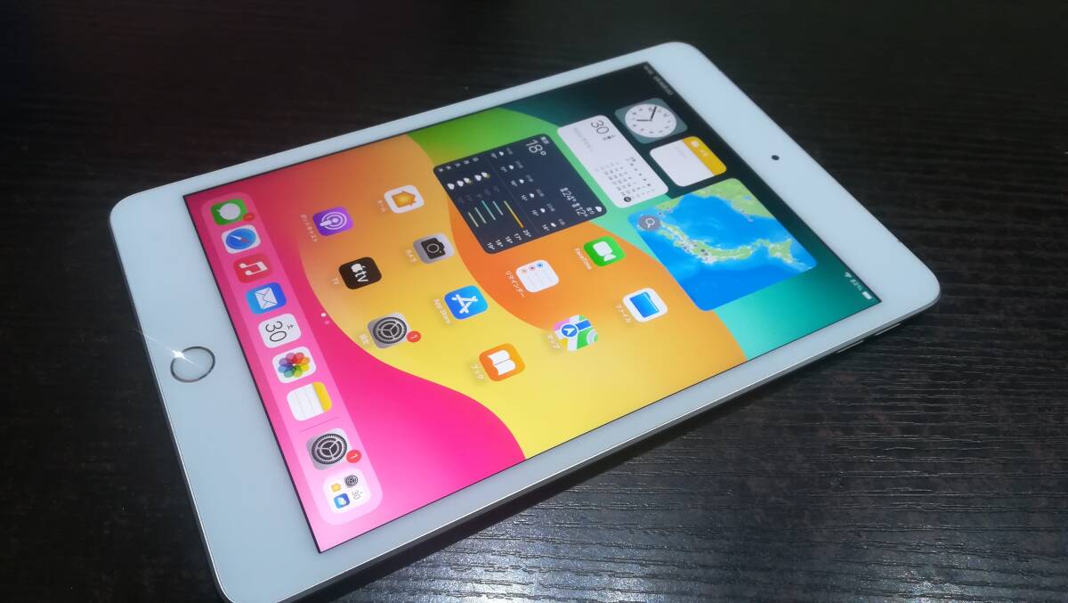 【美品♪】au Apple iPad mini 5 第5世代 Wi-Fi+Cellular 256GB A2124(MUXD2J/A)判定〇/シルバー/動作品の画像2