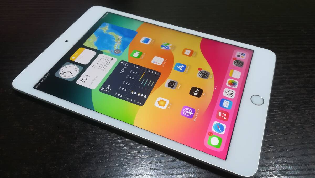 【美品♪】au Apple iPad mini 5 第5世代 Wi-Fi+Cellular 256GB A2124(MUXD2J/A)判定〇/シルバー/動作品の画像1