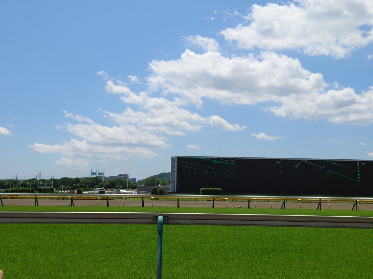 馬券生活を送りたい方必見必読！ 365日毎日開催されている競馬をうまく活用して、馬券生活を送りませんか？ 副業にも最適！ 負けない投資法_画像6