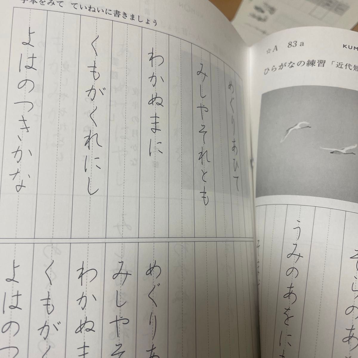 くもん　公文プリント　A1から100 書写