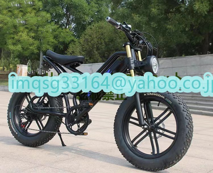  don't miss it retro electromotive bicycle 48v 750w 13Ah 40-50km lithium battery motocross Q072