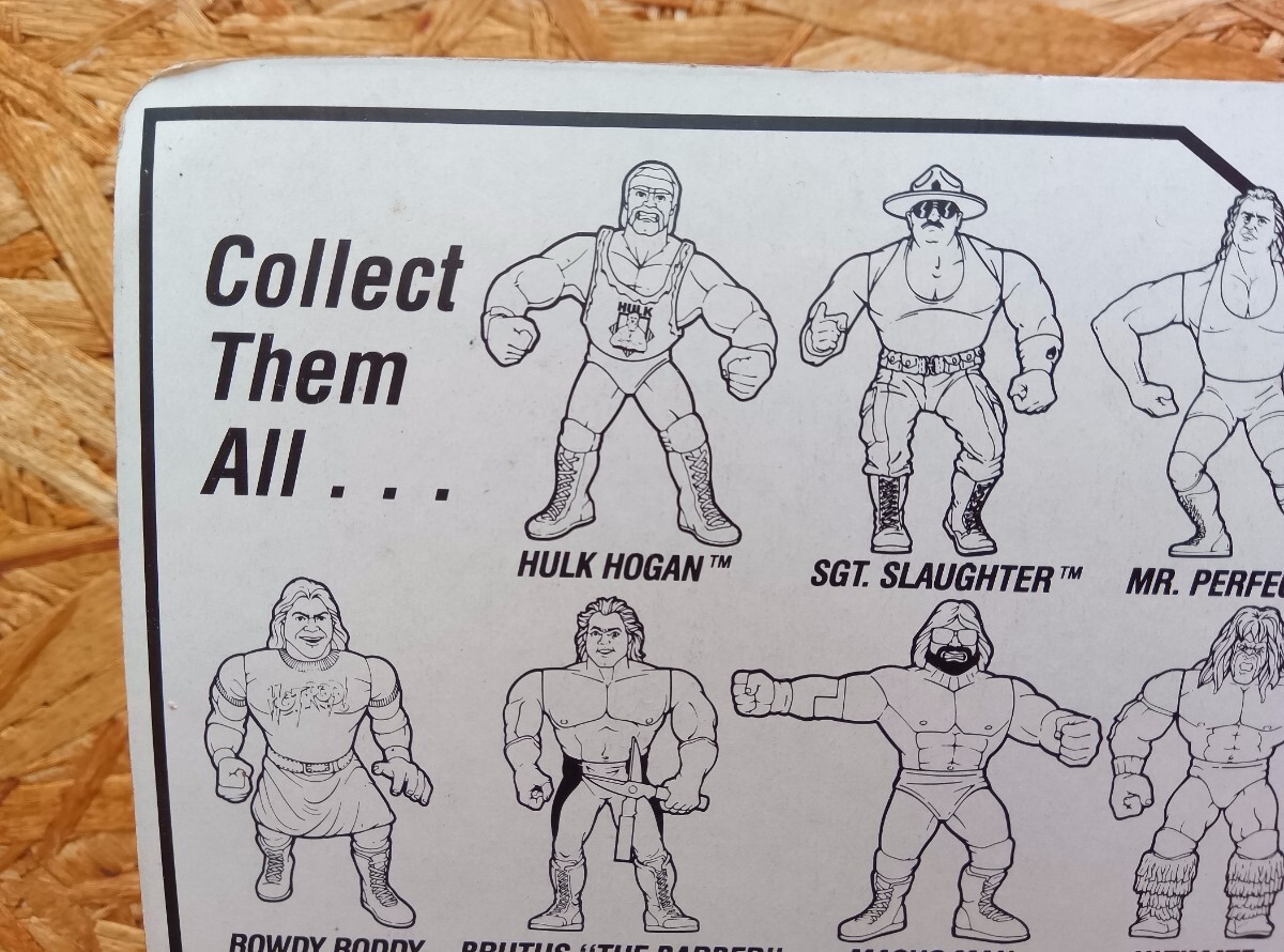 HULK HOGAN WWF BLUE CARD  HASBRO collector コレクター ハルクホーガンの画像6