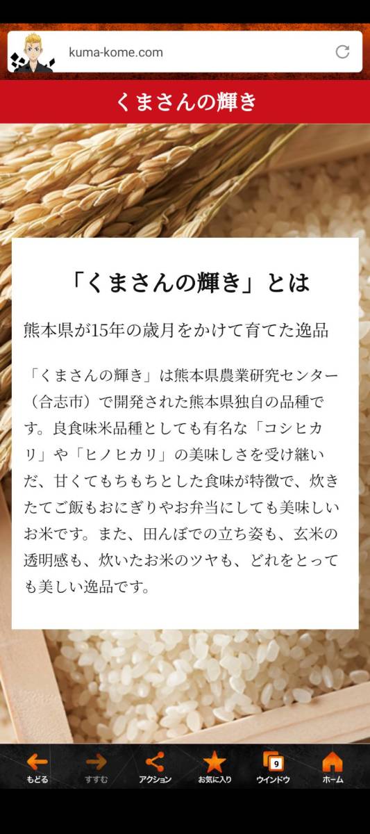 新米　白米　くまさんの輝き　5kg 熊本県産　令和5年度産_画像3