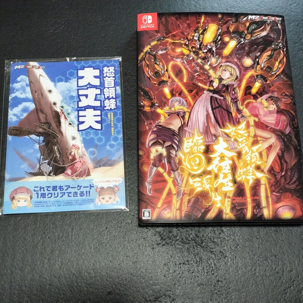 ■中古美品 ●Nintendo Switch 怒首領蜂大往生 臨廻転生 限定版◆特典攻略ガイド付属　ニンテンドースイッチ