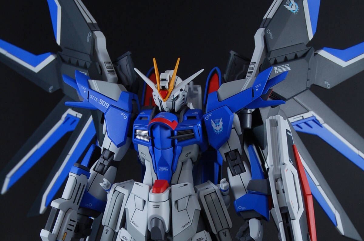 HG 1/144 ライジングフリーダムガンダム 塗装改修完成品 機動戦士ガンダムSEED FREEDOM HGCE ガンプラの画像5