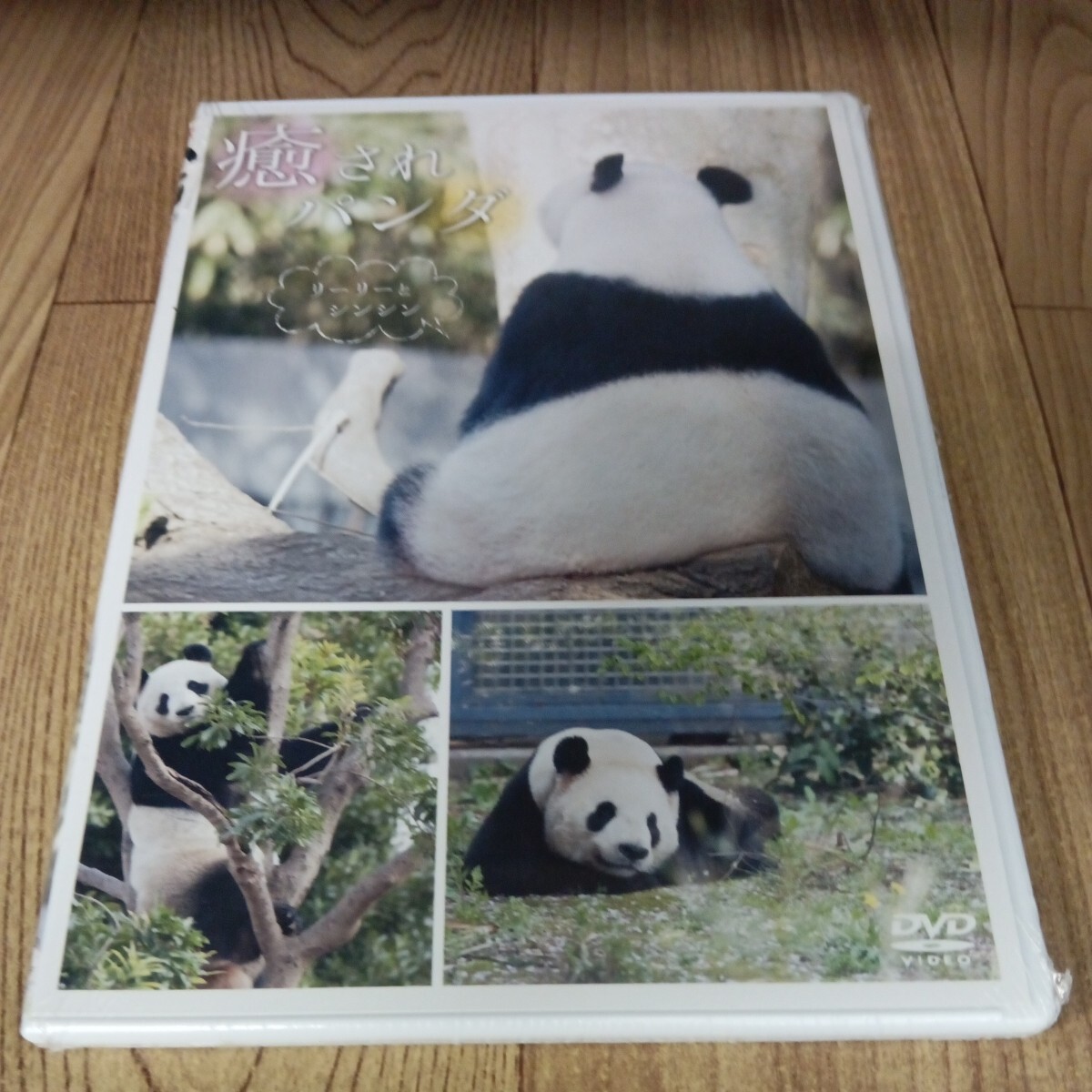 ミ215 癒されパンダ　リーリーとシンシン　上野動物園　リバプール　DVD　新品未開封_画像1