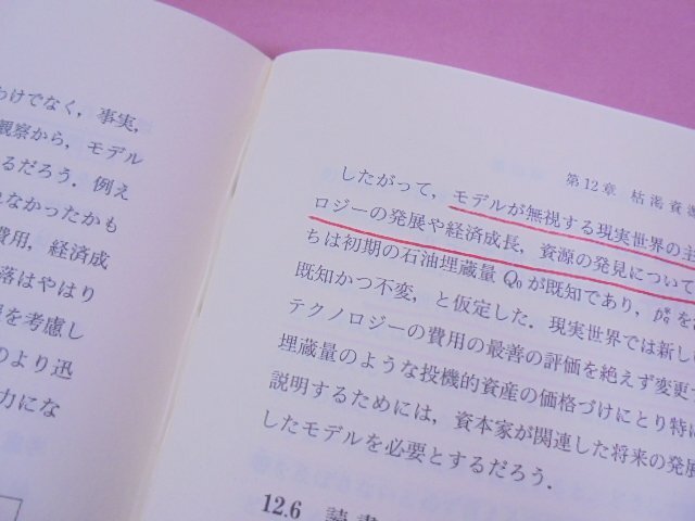 『 成長と分配 』 D.Kフォーリー・T.R.マイケル/著 佐藤良一・笠松学/監訳 日本経済評論社_画像4