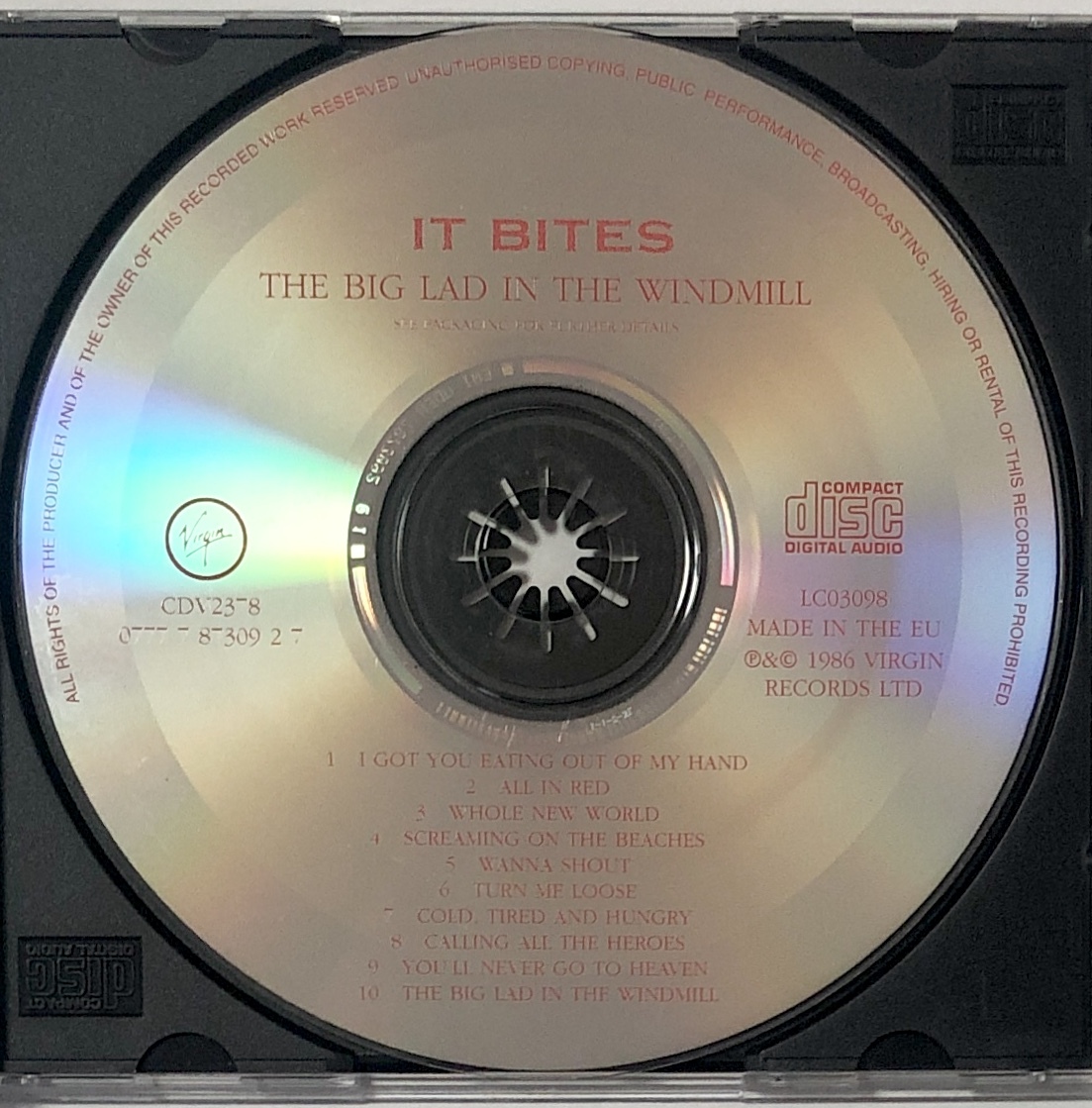 輸入盤 CD イット・バイツ ザ・ビッグ・ラド・イン・ザ・ウィンドミル 痛みあり It Bites The Big Lad in The Windmill プログレの画像5