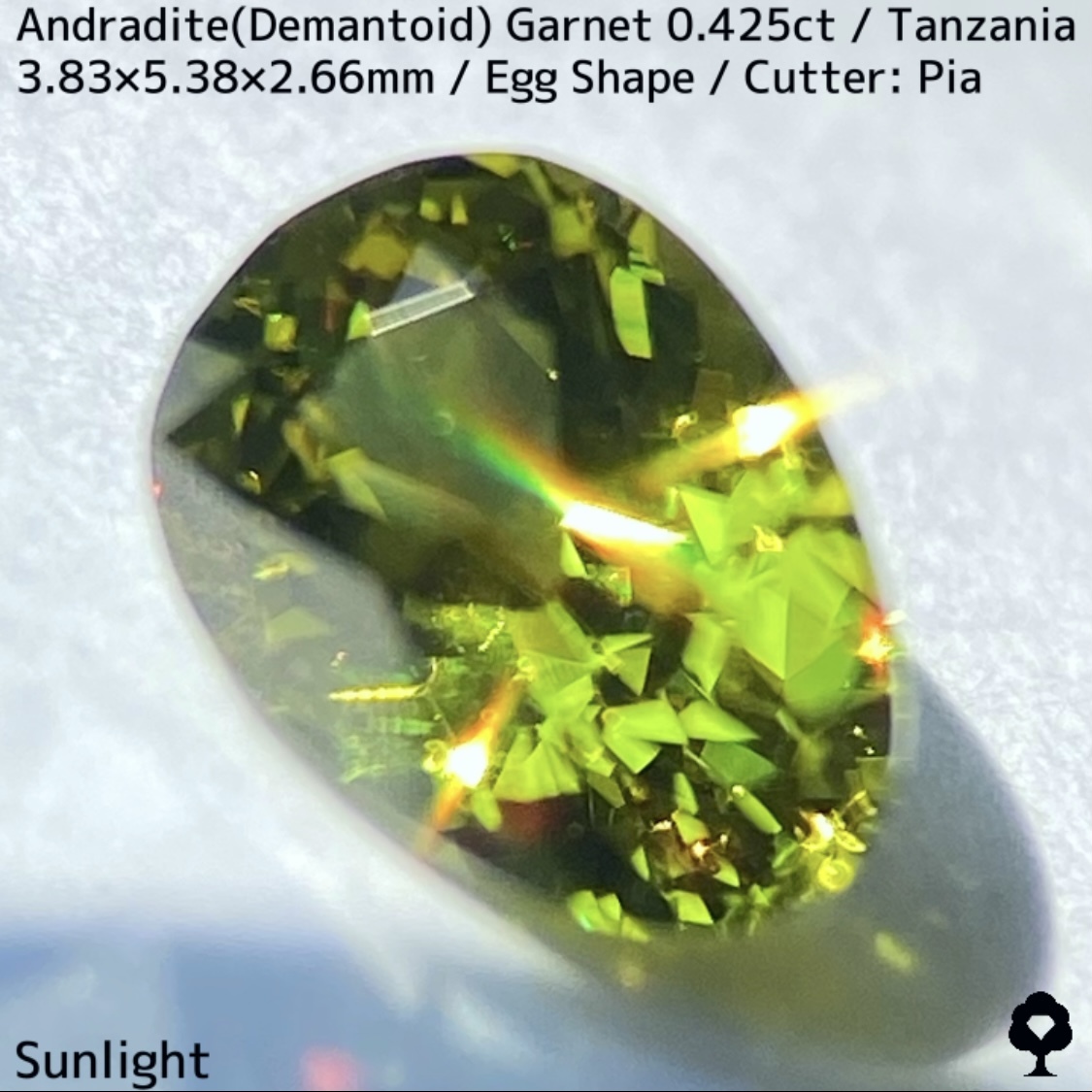 タンザニア産アンドラダイト(デマントイド)ガーネット0.425ct★程よい濃さの美グリーンから煌めき止まらないキュートなエッグシェイプ_画像5