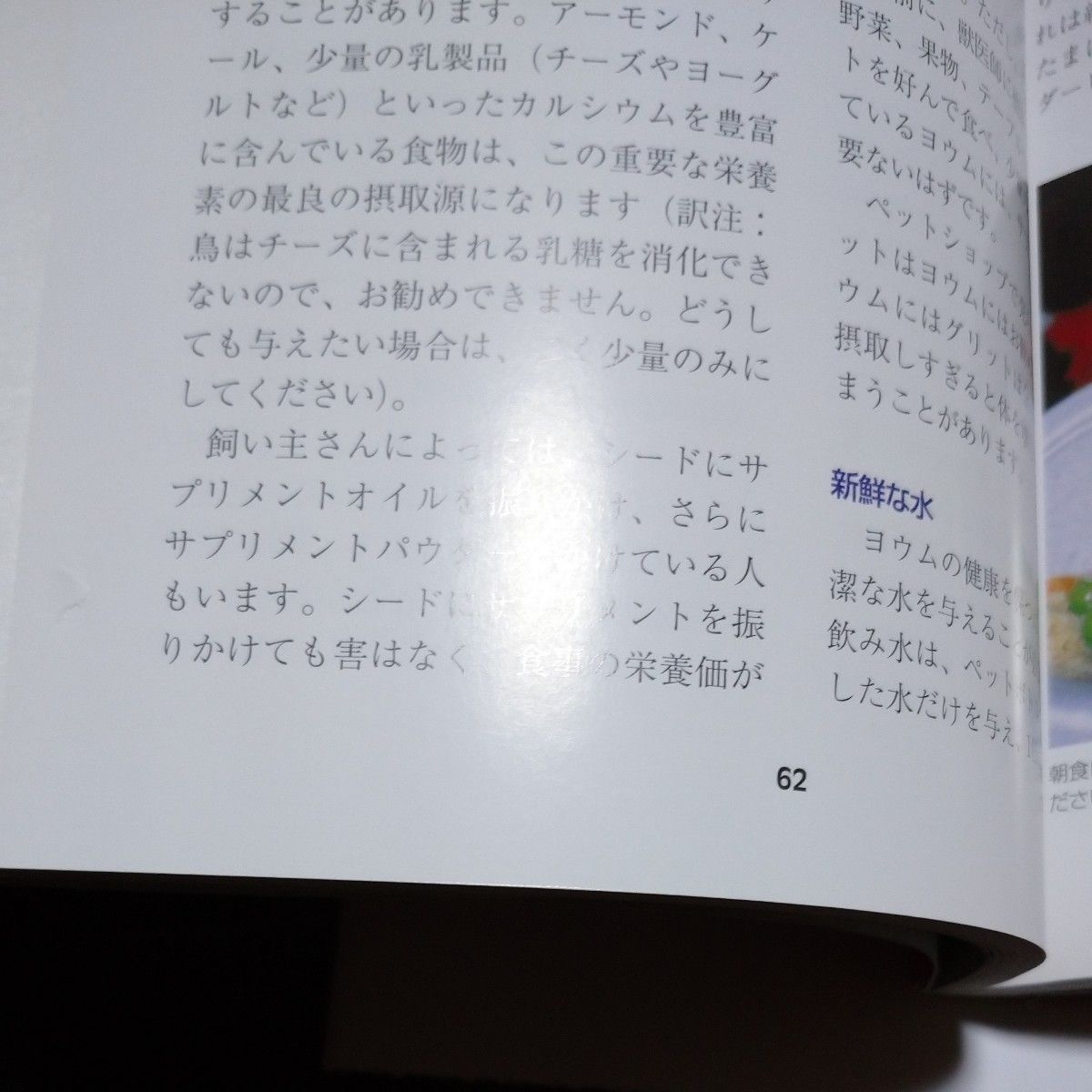 ザ ヨウム ヨウムとの楽しい暮らし方