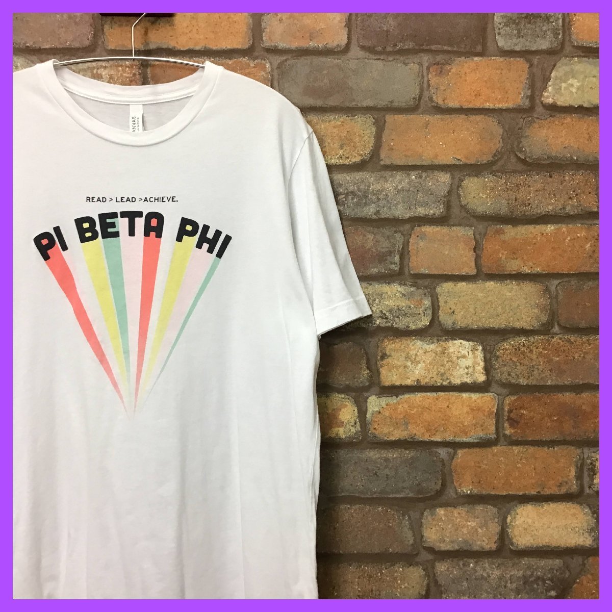 ME11-178★アメリカ買付商品★状態良好【Pi Beta Phi】パステルカラー 半袖Tシャツ【メンズ L】白Tシャツ 美品_画像6