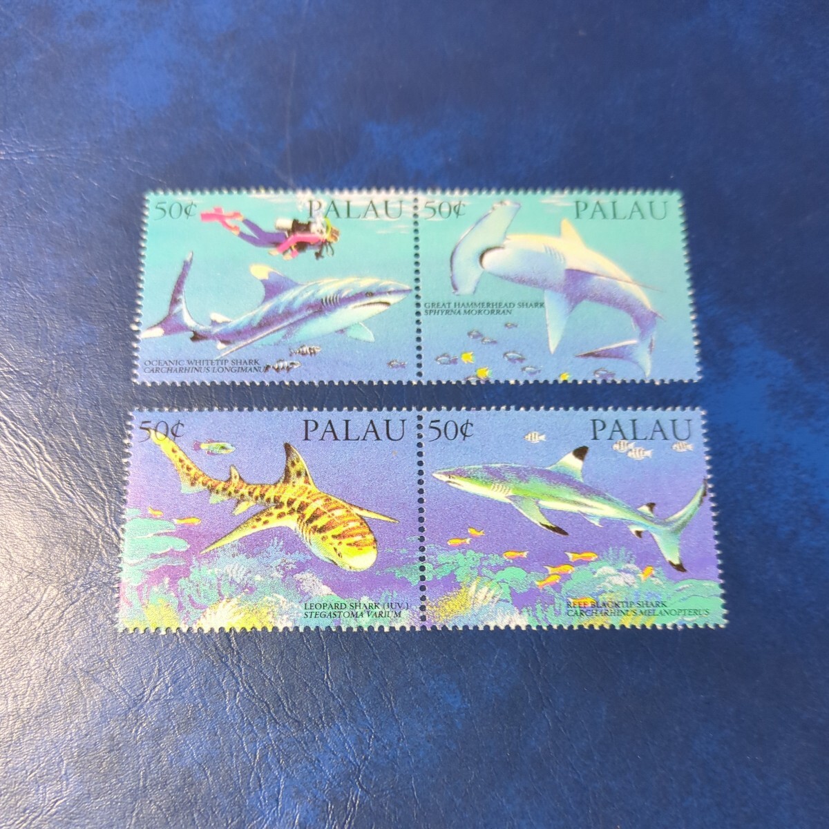 パラオ切手 「サメ」未使用4種揃 ヒンジなしの画像1